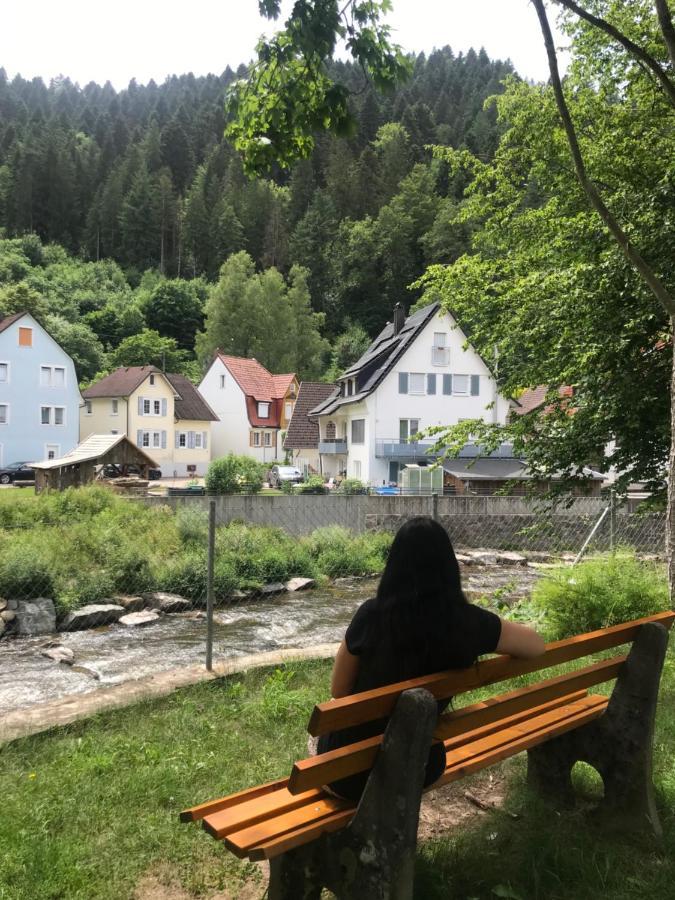 S-Villa Apartments Im Schwarzwald 希尔塔赫 外观 照片