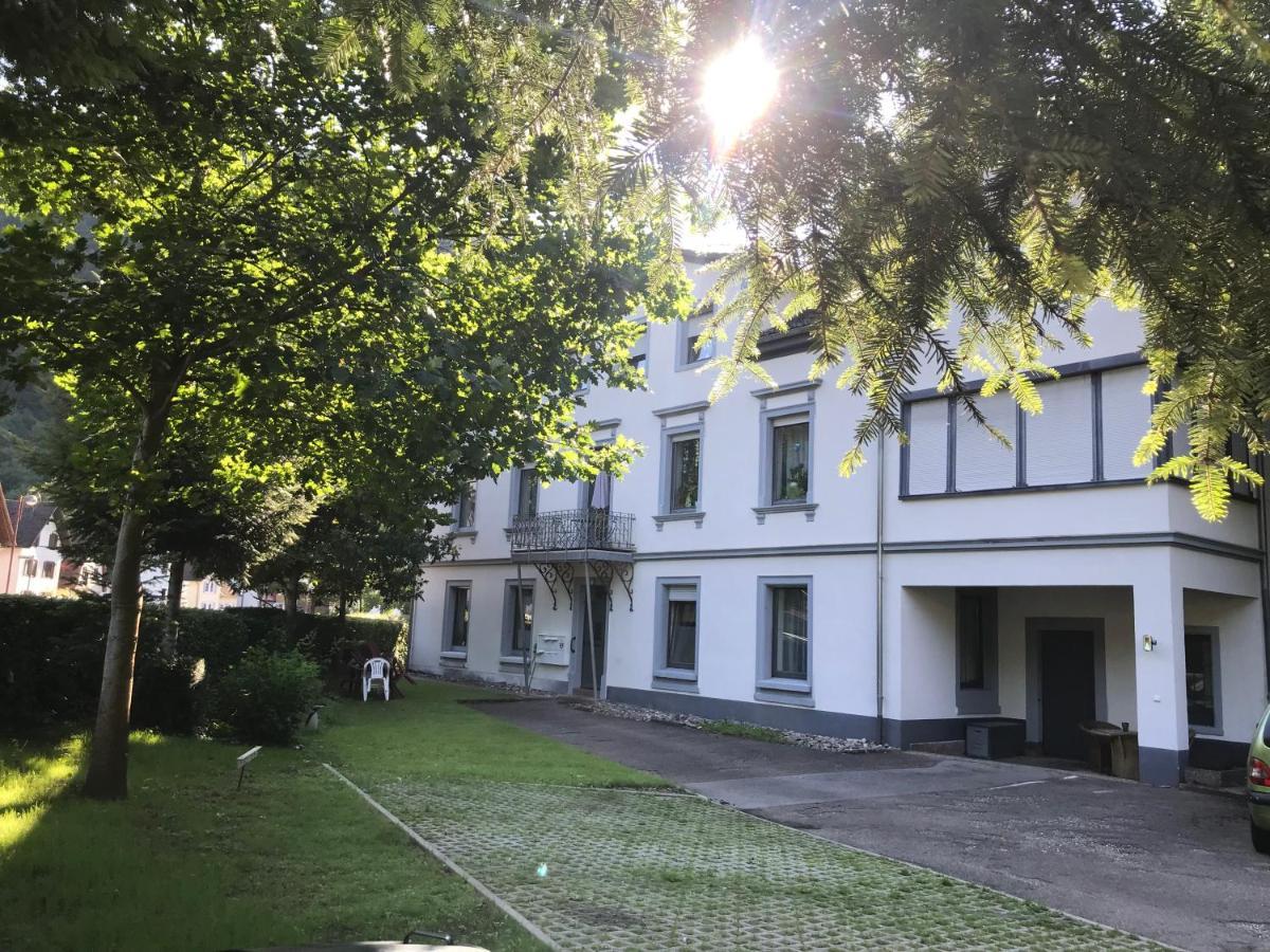 S-Villa Apartments Im Schwarzwald 希尔塔赫 外观 照片