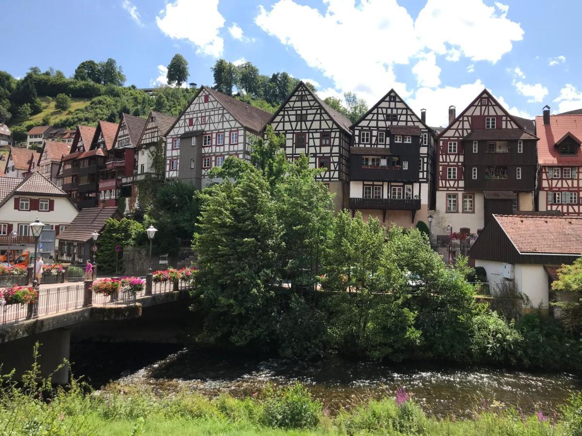 S-Villa Apartments Im Schwarzwald 希尔塔赫 外观 照片