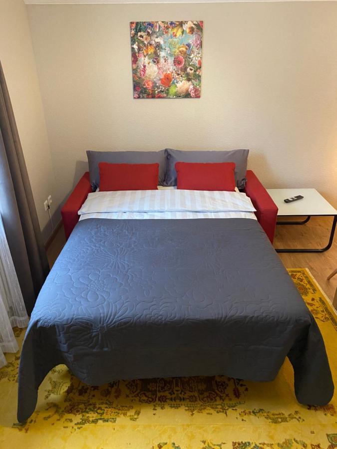 S-Villa Apartments Im Schwarzwald 希尔塔赫 外观 照片