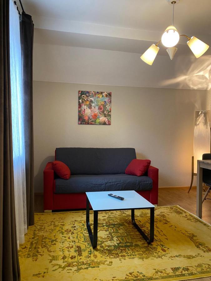 S-Villa Apartments Im Schwarzwald 希尔塔赫 外观 照片