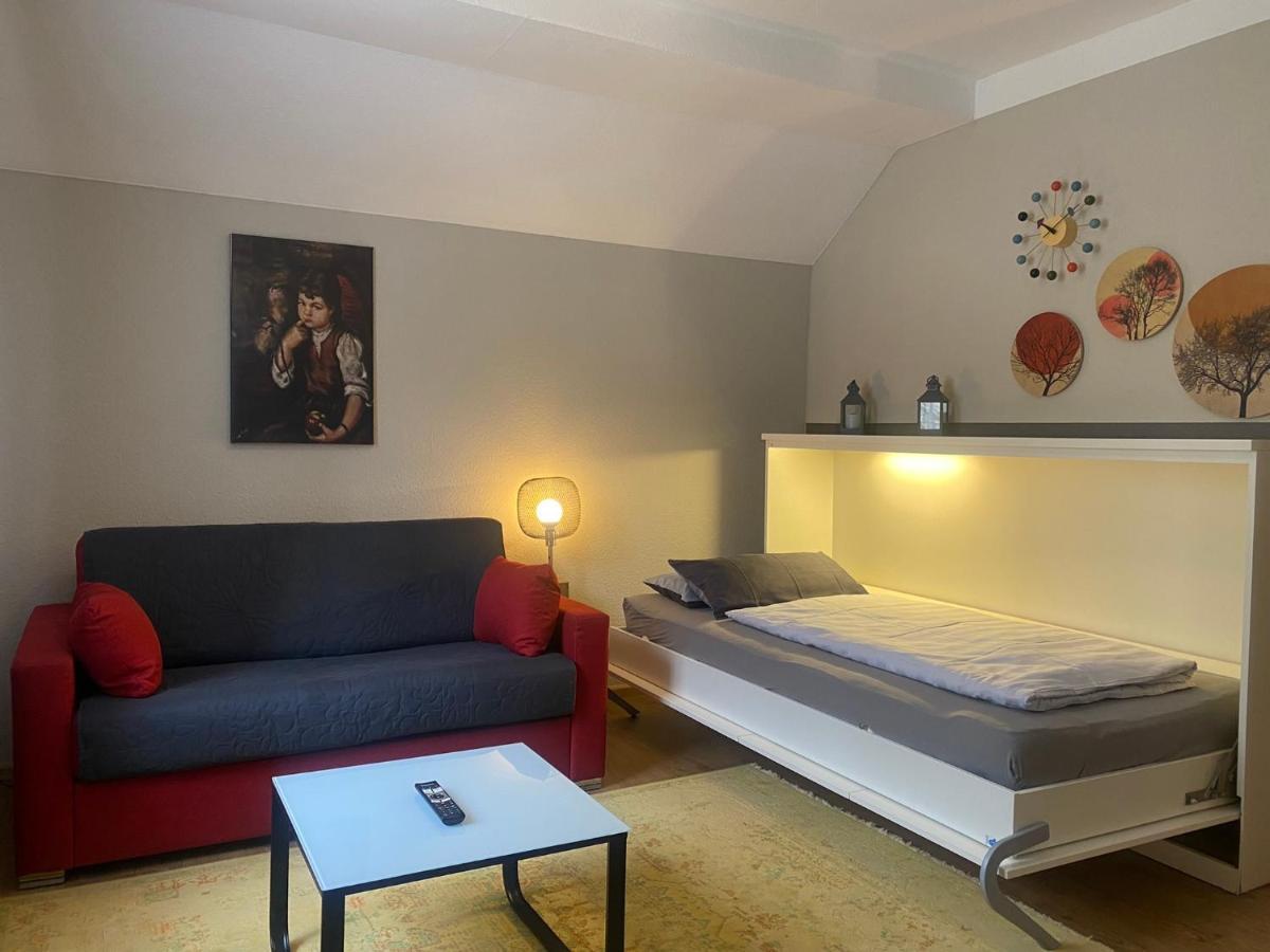 S-Villa Apartments Im Schwarzwald 希尔塔赫 外观 照片