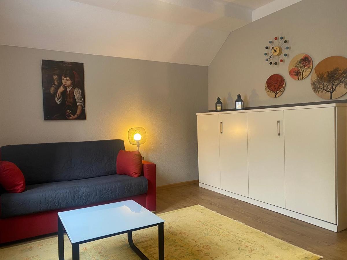 S-Villa Apartments Im Schwarzwald 希尔塔赫 外观 照片