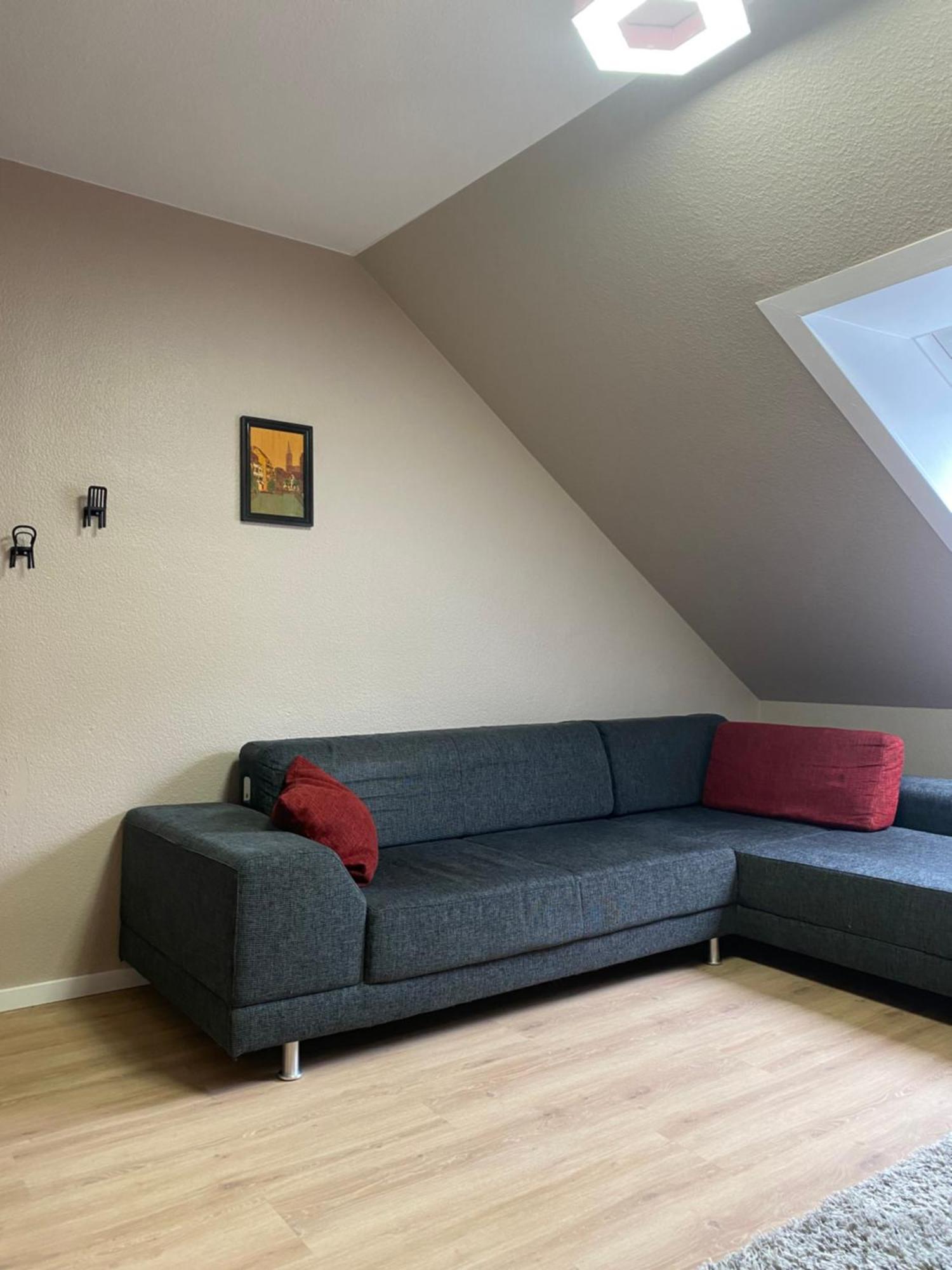 S-Villa Apartments Im Schwarzwald 希尔塔赫 外观 照片
