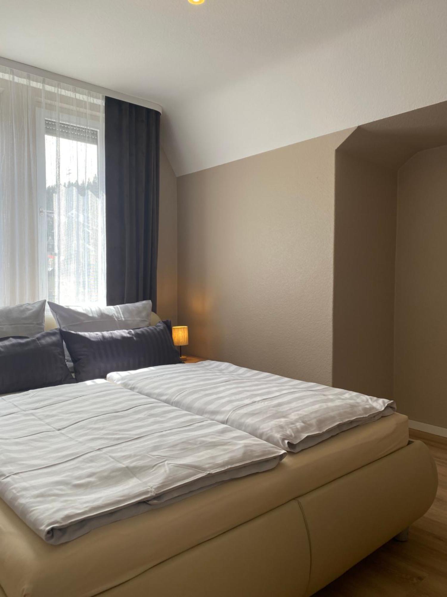 S-Villa Apartments Im Schwarzwald 希尔塔赫 外观 照片