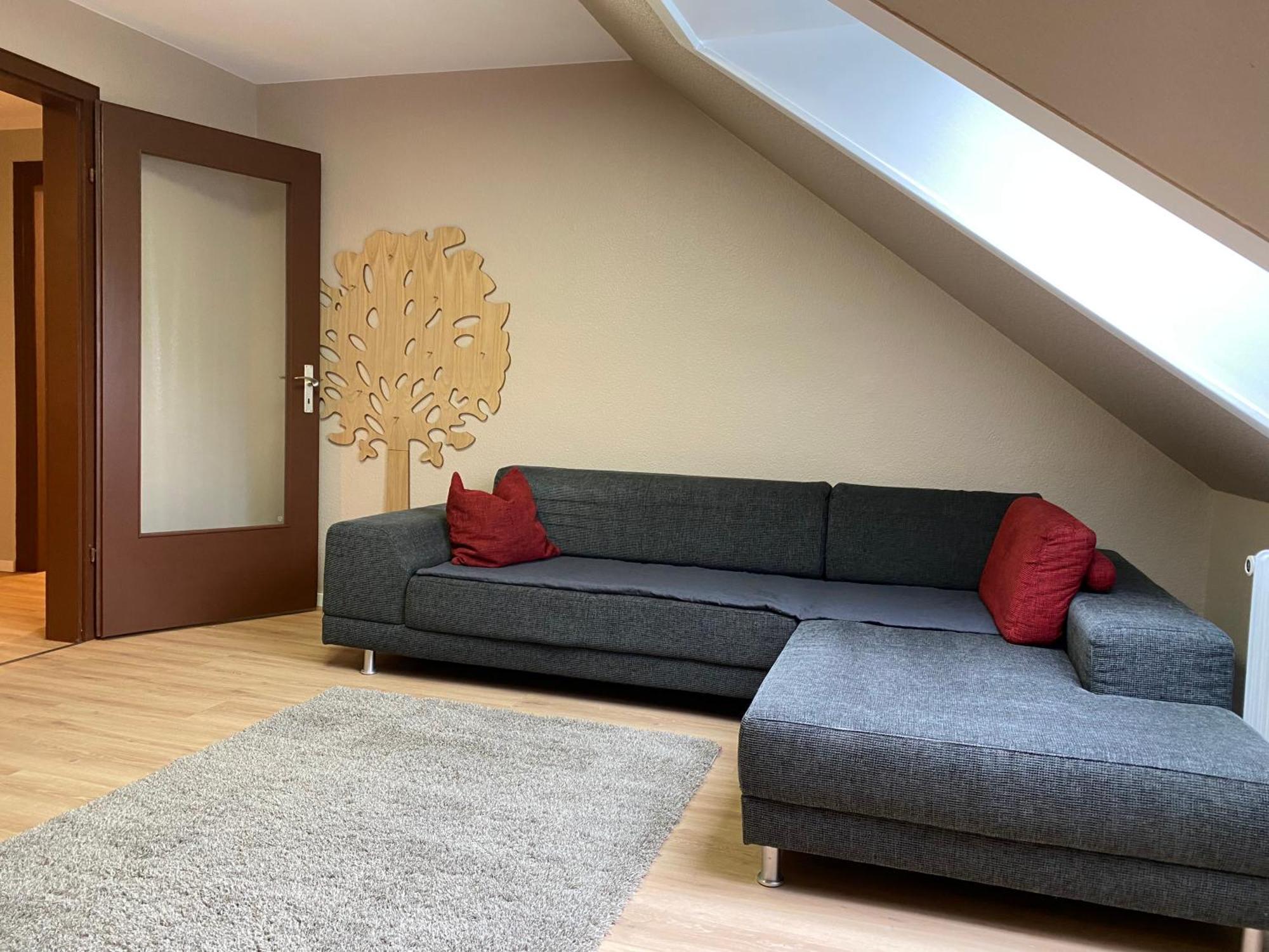 S-Villa Apartments Im Schwarzwald 希尔塔赫 外观 照片