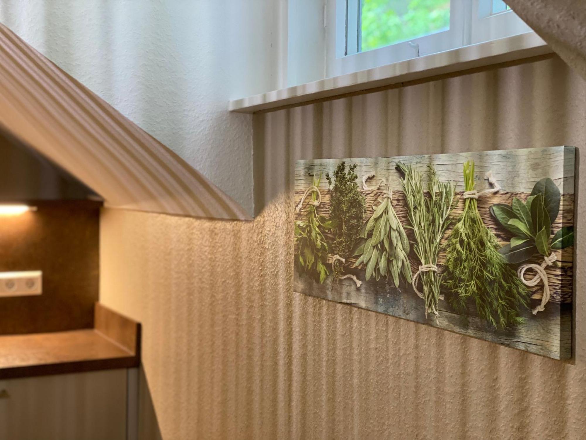S-Villa Apartments Im Schwarzwald 希尔塔赫 外观 照片